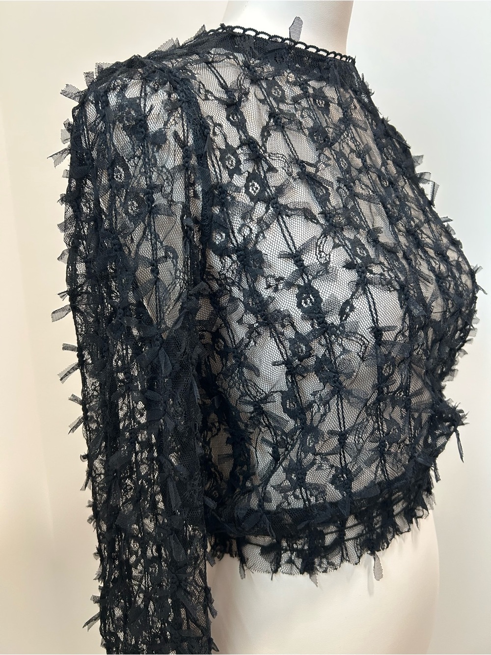 🖤Black Sheer Lace Crop Blouse with Long Sleeves